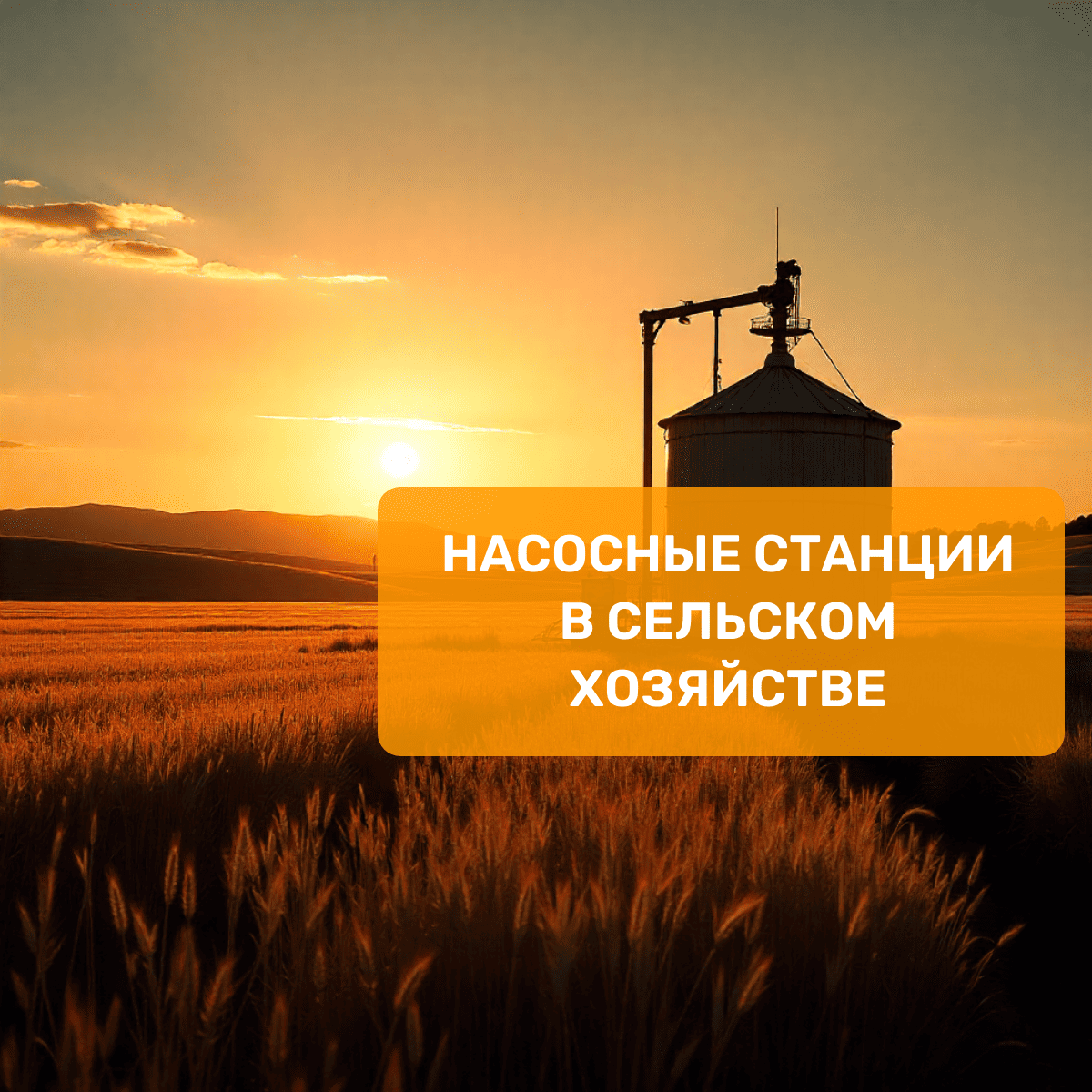 Насосные станции в сельском хозяйстве - надёжная инфраструктура для полей, ферм и агропроизводств